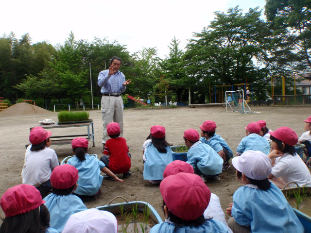 小抜農匠園の地域活動、幼稚園で毎年恒例のバケツ稲栽培・食育教室